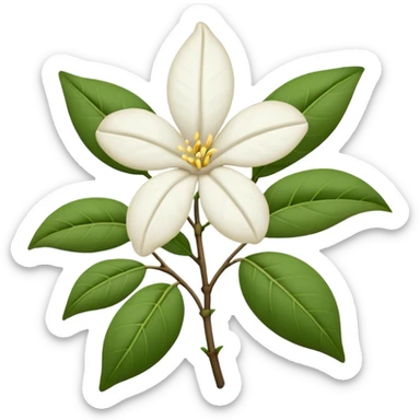wilted indian jasmine without leaves in emoji format sticker
