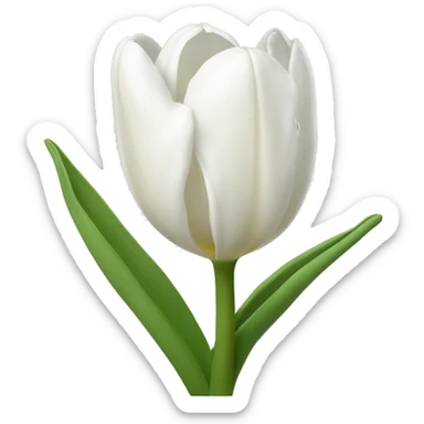 White Tulips sticker