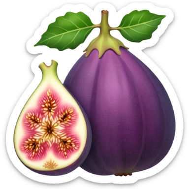 Fig sticker