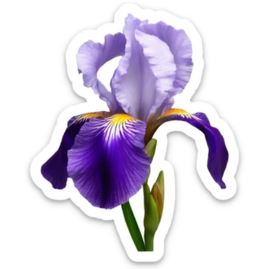 iris flower sticker