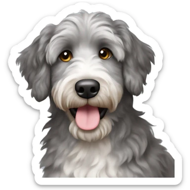 Grey aussiedoodle  sticker