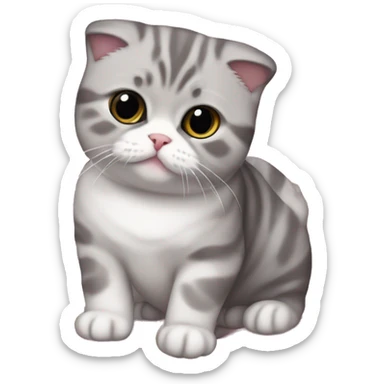 Scottish fold cat white and gray color on pink plaid sticker