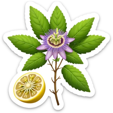 lavender, passion flower, ashwagandha roots, lemon balm sticker