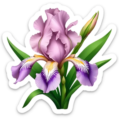 big bouquet Soft Pink Iris, luxuriant, leaf, bud sticker