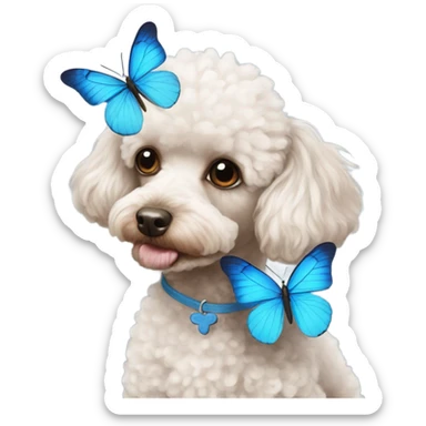 Toy poodle with blue butterfly  sticker