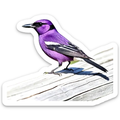 Apvalus buteliukas, storas skaidrus stiklas, mazas kamštelis. Skystis sodrus – mėlynas su žalsvu ir violetiniu atspalviu (#00d9ff + #00ff99 + #7f00ff). Skystyje matosi smulkios švytinčios kibirkštys ir kelios mažos magiškos runos. sticker