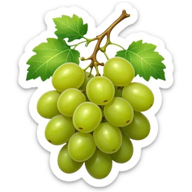 single grape sticker