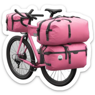 Bikepacking pink bike with aereo bags sticker