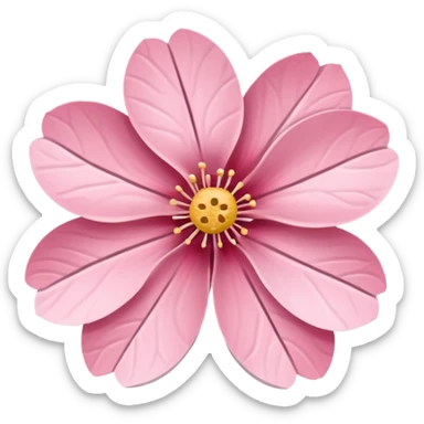 sakura flower with a bandage sticker