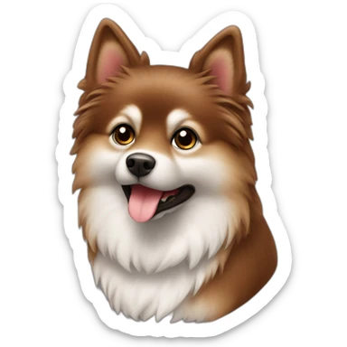 Spitz chocolate dark with brown seated no white colour  sticker