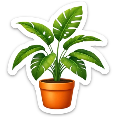 A tropical plant with huge leaves in an orange pot sticker