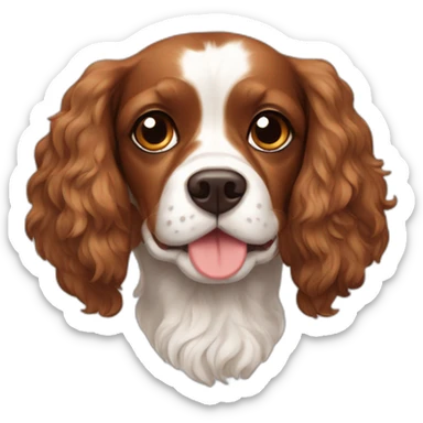 a brown and white cavalier + cocker spaniel mix sticker