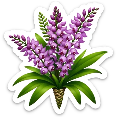 super big bouquet Rhynchostylis Orchid, stem, leaf sticker