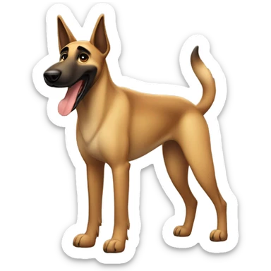 Malinois smiling sticker