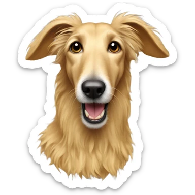 Golden fluffy lurcher with an inside-out ear sticker