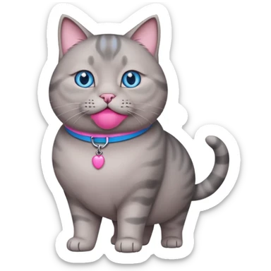 A fat grey cat with a pink collar and walking and looking at u with blue eyes sticker