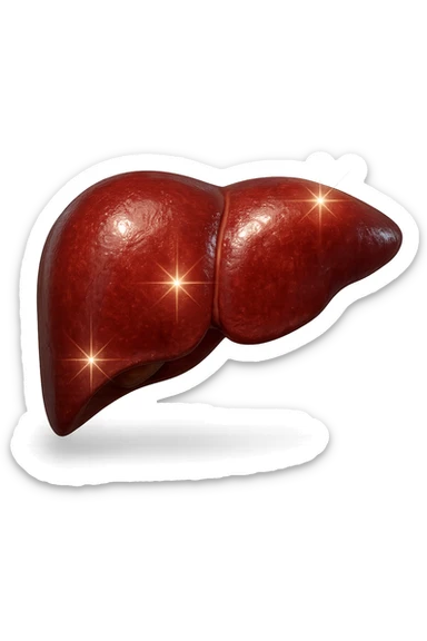 fegato realistico con scintille di brillantezza 3d sticker
