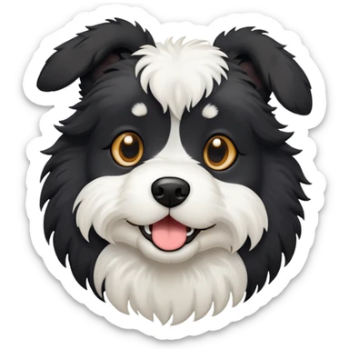 Black fluffy dog with floppy ears and white chest sticker