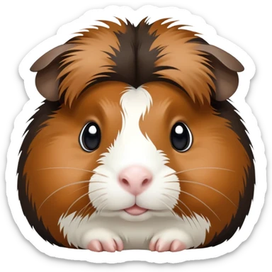 Black brown and white guinea pig sticker