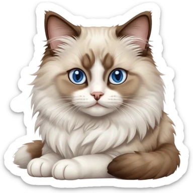 cinematic-[brown and white ragdoll cat]-realistic-full-body-sitting-emoji,-tail-curled-playfully-around-its-paws,-head-tilted-dramatically,-fluffy-[brown and white]-fur,-simplified-yet-realistic-focused-features,-highly-detailed,-glowing-with-an-almost-sarcastic-glow, with blue eyes sticker