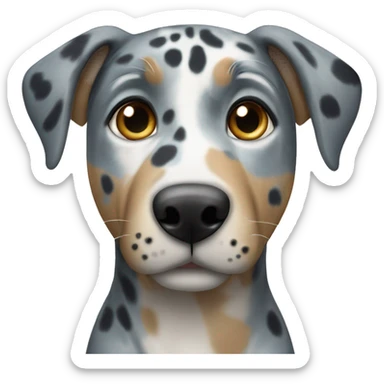 catahoula leopard dog with blue eyes sticker