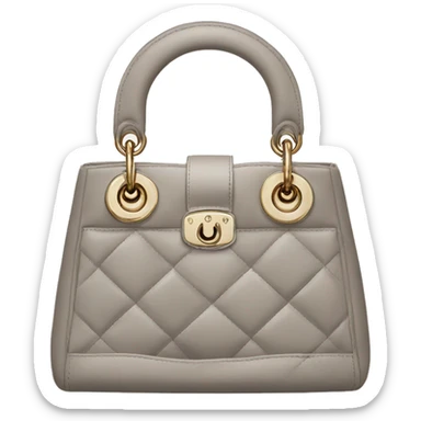 Dior bag sticker