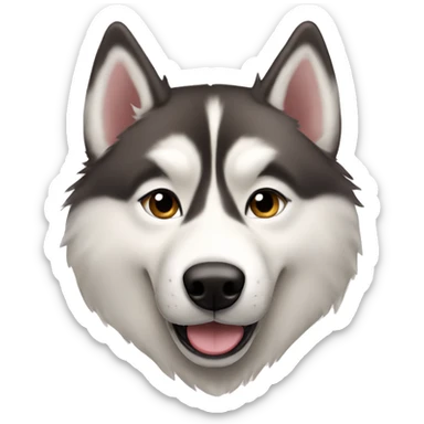 Playful siberian husky with tan fur and a light pink nose sticker