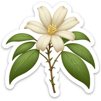 wilted jasmine emoji sticker