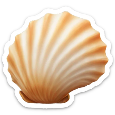 seashell sticker