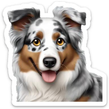 Australian shepherd blue merle sticker