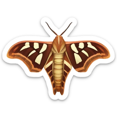 Atlas moth sticker