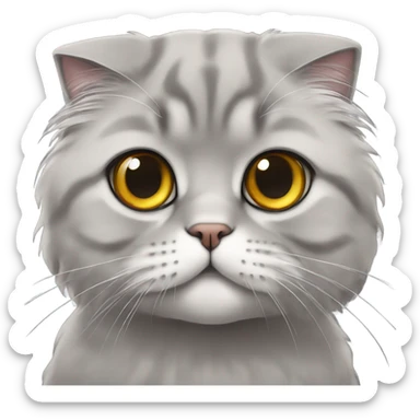 scottish fold cat gray long-haired  sticker