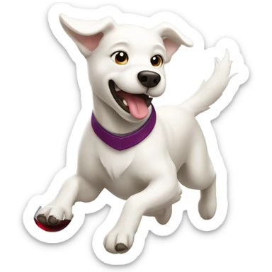 Running white dog with wine sticker