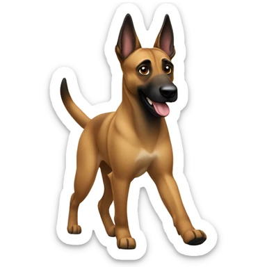 malinois dog marche, walking like human sticker