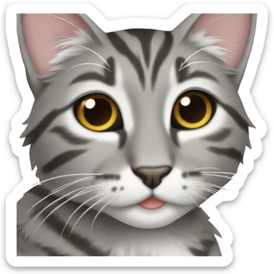 Grey tabby with white paws and chest sticker