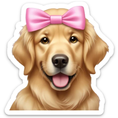 Golden retriever wearing a pretty pink bow and wink sticker