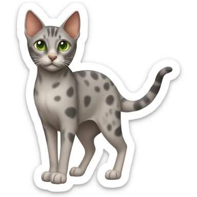 Short-haired oriental cat ,full body , grey coat with spots , green eyes , terracotta nuzzle sticker