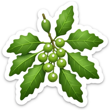 Mistletoe in bunch sticker
