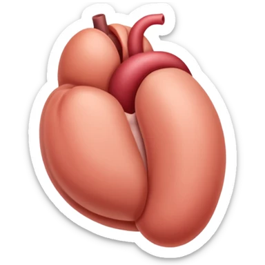 Un entrejambe d’homme nu avec au centre Un penis en érections très réaliste sticker