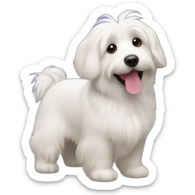 coton de tulear and corgy sticker