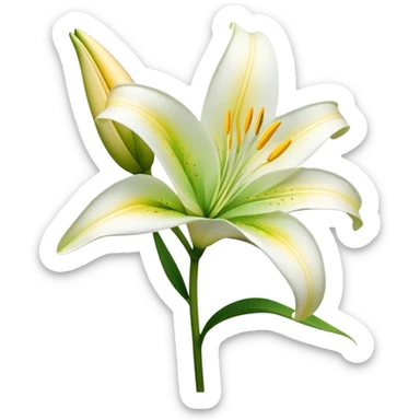 Cinematic Realistic Lily Emoji, Elegant and fragrant, with soft, white petals curling delicately around a golden-yellow stamen at its center. The long, slender green stem stands tall, supporting the vibrant bloom with its slightly curled tips. Soft glowing outline, capturing the essence of purity, elegance, and grace in a striking lily. sticker