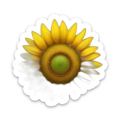 Sunflower flower  sticker