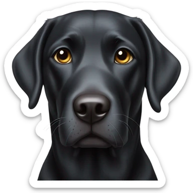 Black lab sticker