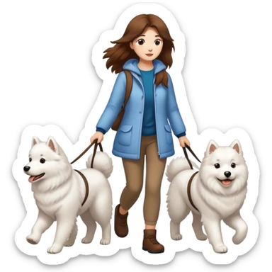 Brown-haired girl walks a Samoyed sticker