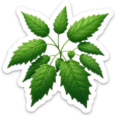 stinging nettles sticker