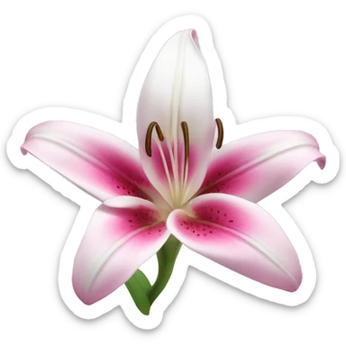 pink white liliy sticker