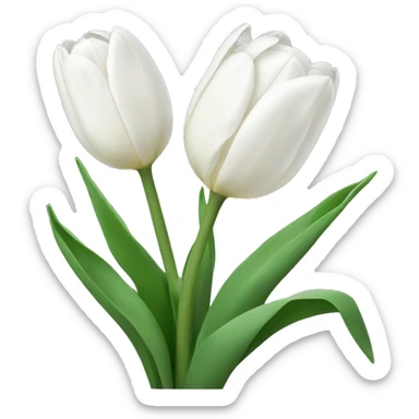 White tulips  sticker