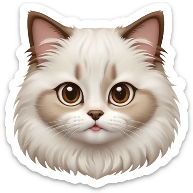 cinematic-adorable-big-eyed-fluffy-white brown-ragdoll-cat-portrait-emoji,-head-tilted-playfully-with-a-sweet-expression,-fluffy-white brown-fur,-simplified-yet-irresistibly-cute-features-with-large,-expression, sticker