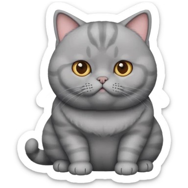 A gray , british Shorthair cat who is a little big and sitting sticker
