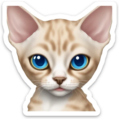 Devon rex cat light fur color and blue eyes sticker